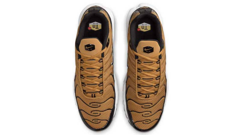 Nike TN Air Max Plus  (COD44F)