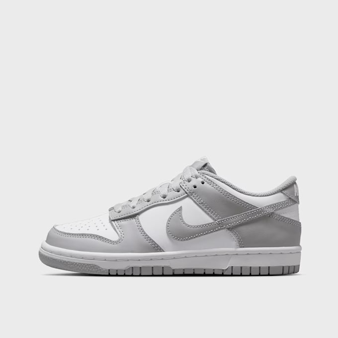 Nike Dunk Low Grey (COD70A)