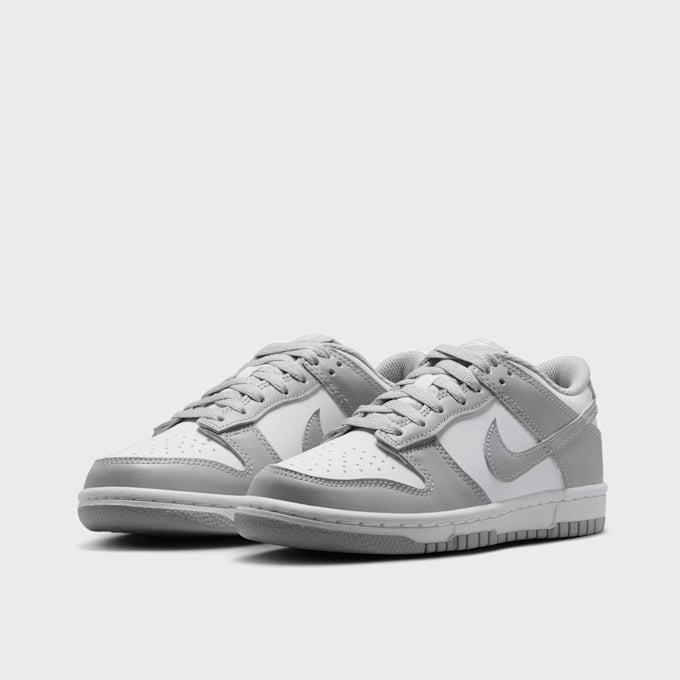 Nike Dunk Low Grey (COD70A)